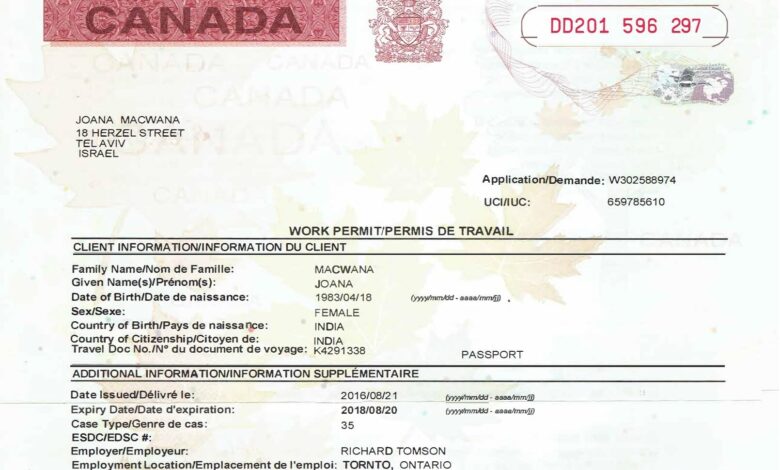 Canadian Immigration and Visa Categories for IT Professionals