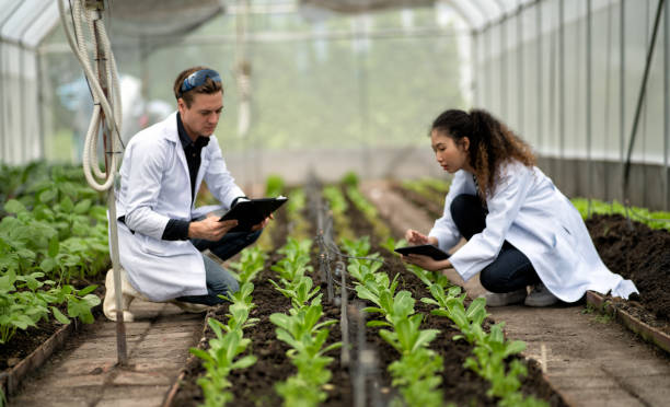 Immigrate to the U.K. as an Agricultural Engineer