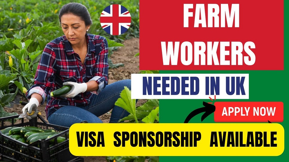 Farm Jobs in the UK for Foreigners with Visa Sponsorship for Foreigners in 2025: Latest Opportunities
