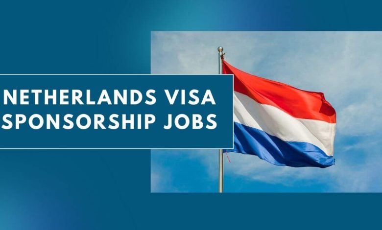Visa Sponsorship in the Netherlands: Thrive in Europe’s Tech and Innovation Hub